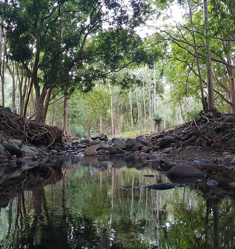 Gorges de riviere noire