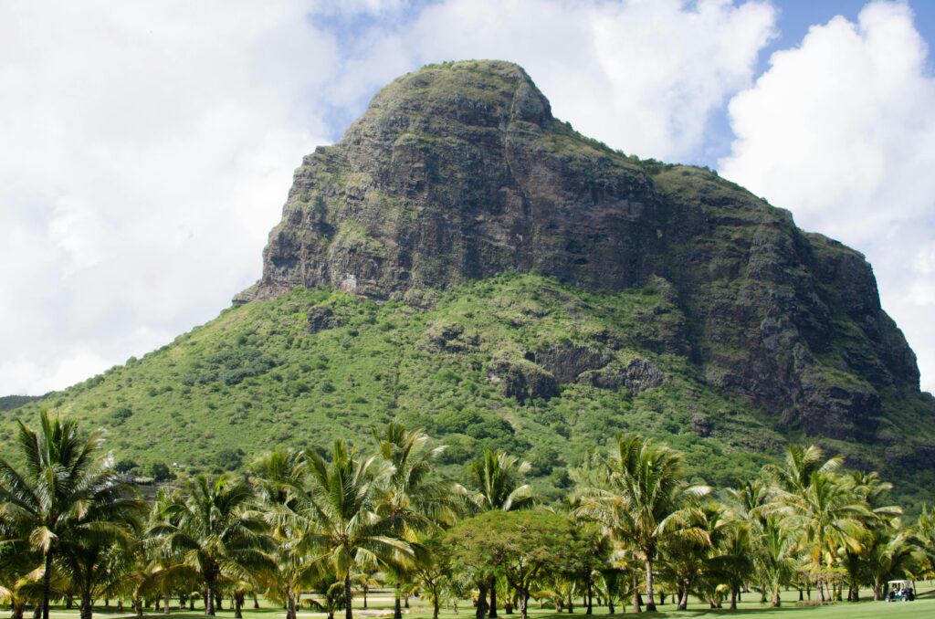 Scenic View of a Mountain