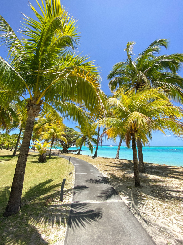 chemin plage ile maurice et palmiers