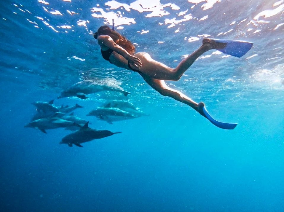 femme nage avec les dauphins