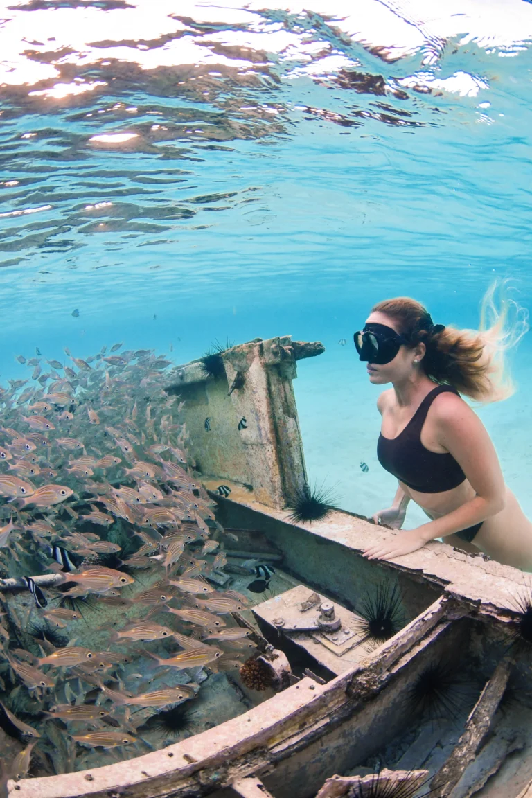 snorkeling et epave ile maurice poissons bateau