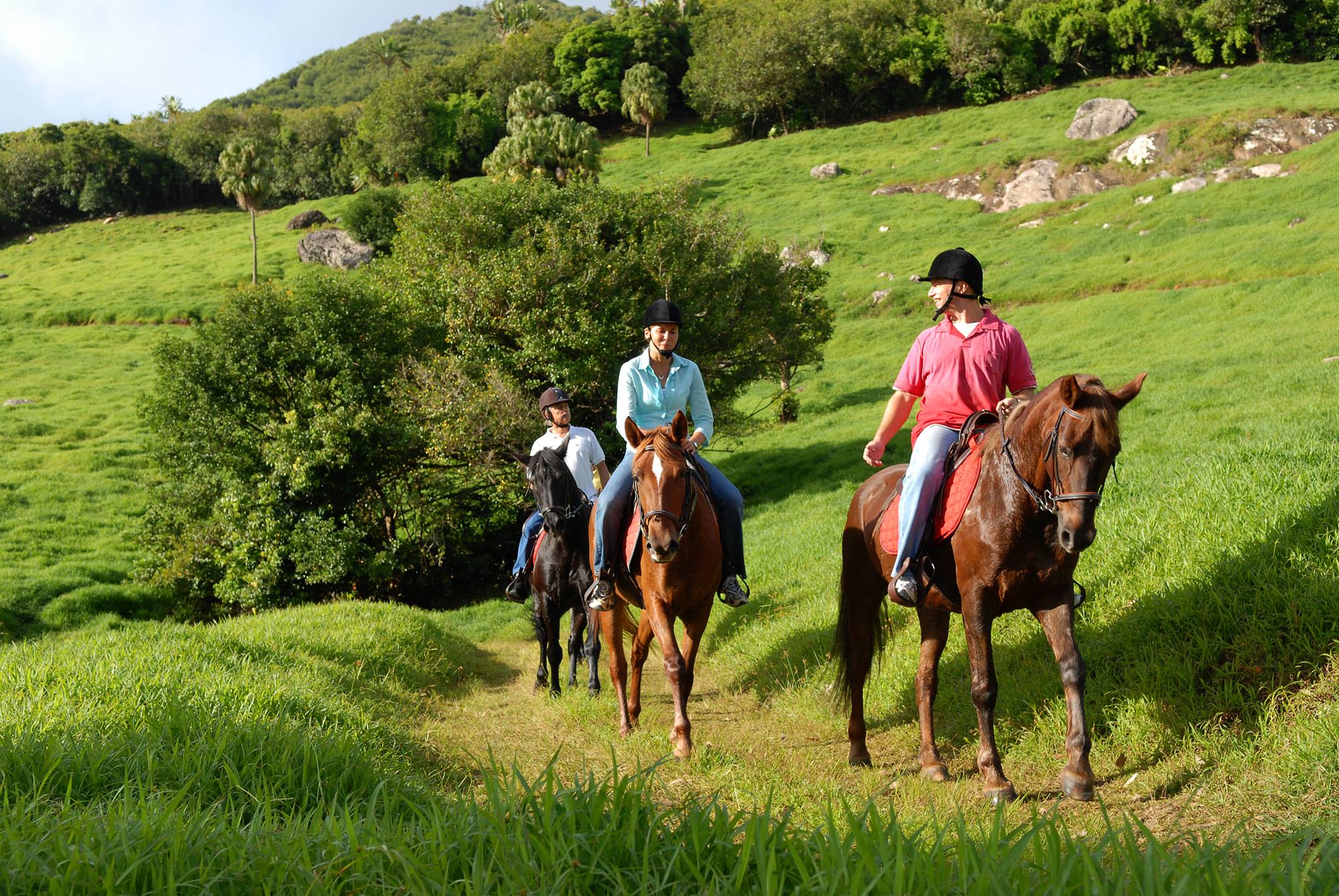 Balade Cheval Ile Maurice Domaine Etoile - Balade à cheval Île Maurice : nos meilleures randonnées équestres Balade Cheval Ile Maurice Domaine Etoile