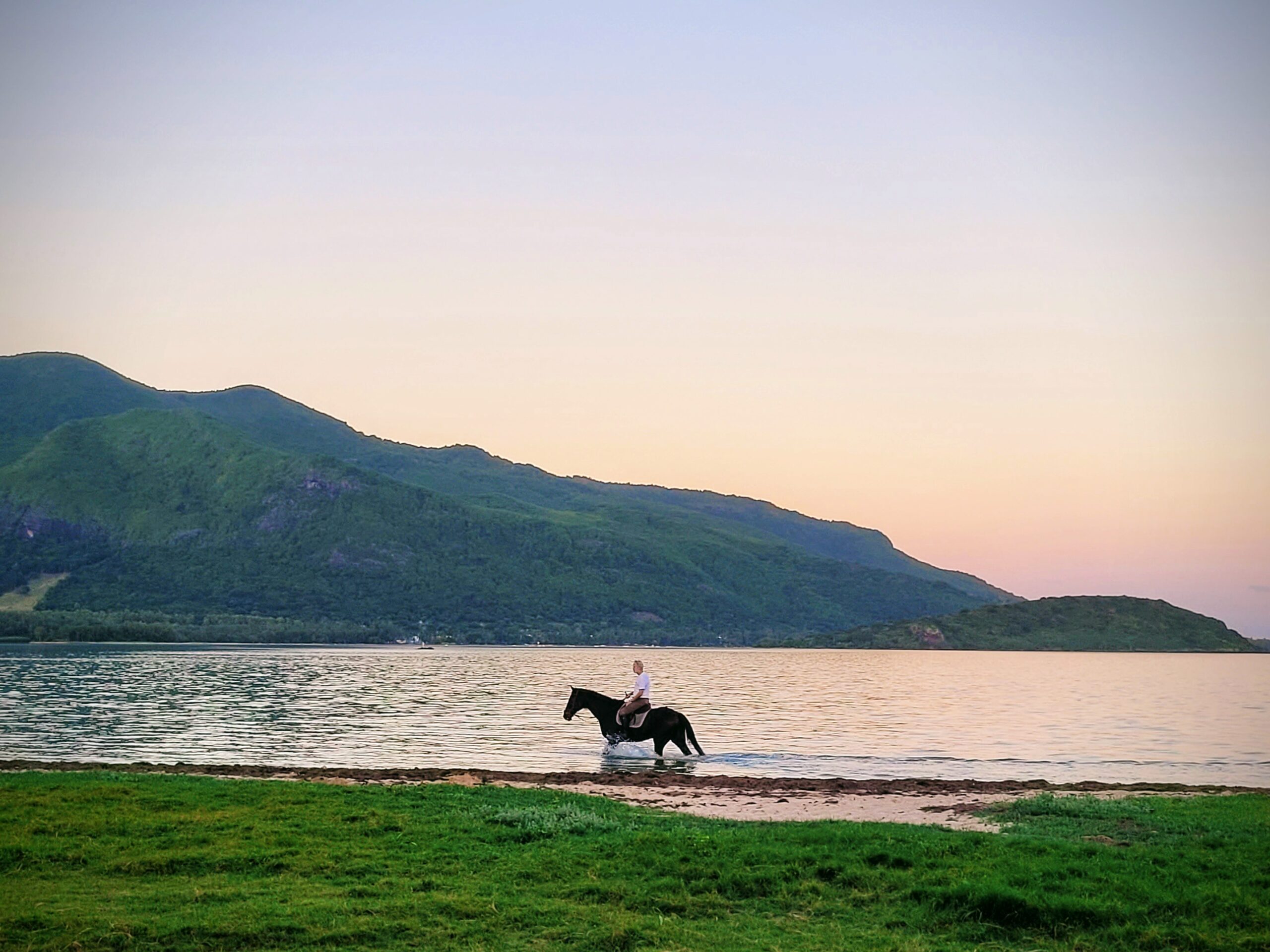Haras du Morne scaled - Balade à cheval Île Maurice : nos meilleures randonnées équestres Haras du Morne Cheval Ile Maurice