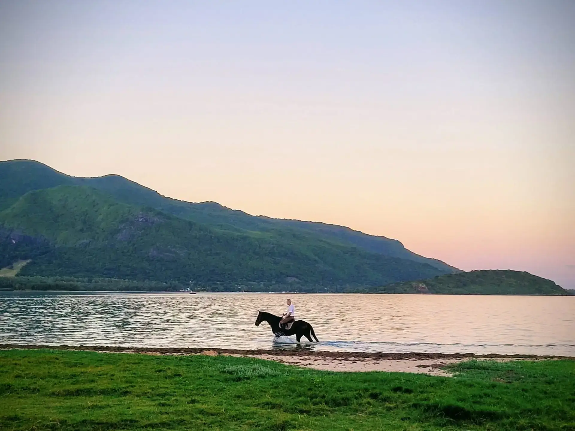 Haras du Morne Cheval Ile Maurice