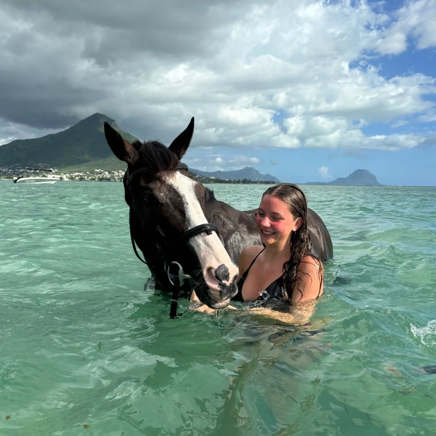 Nager avec un Cheval Ile Maurice 02 - Balade à cheval Île Maurice : nos meilleures randonnées équestres Nager avec un Cheval Ile Maurice