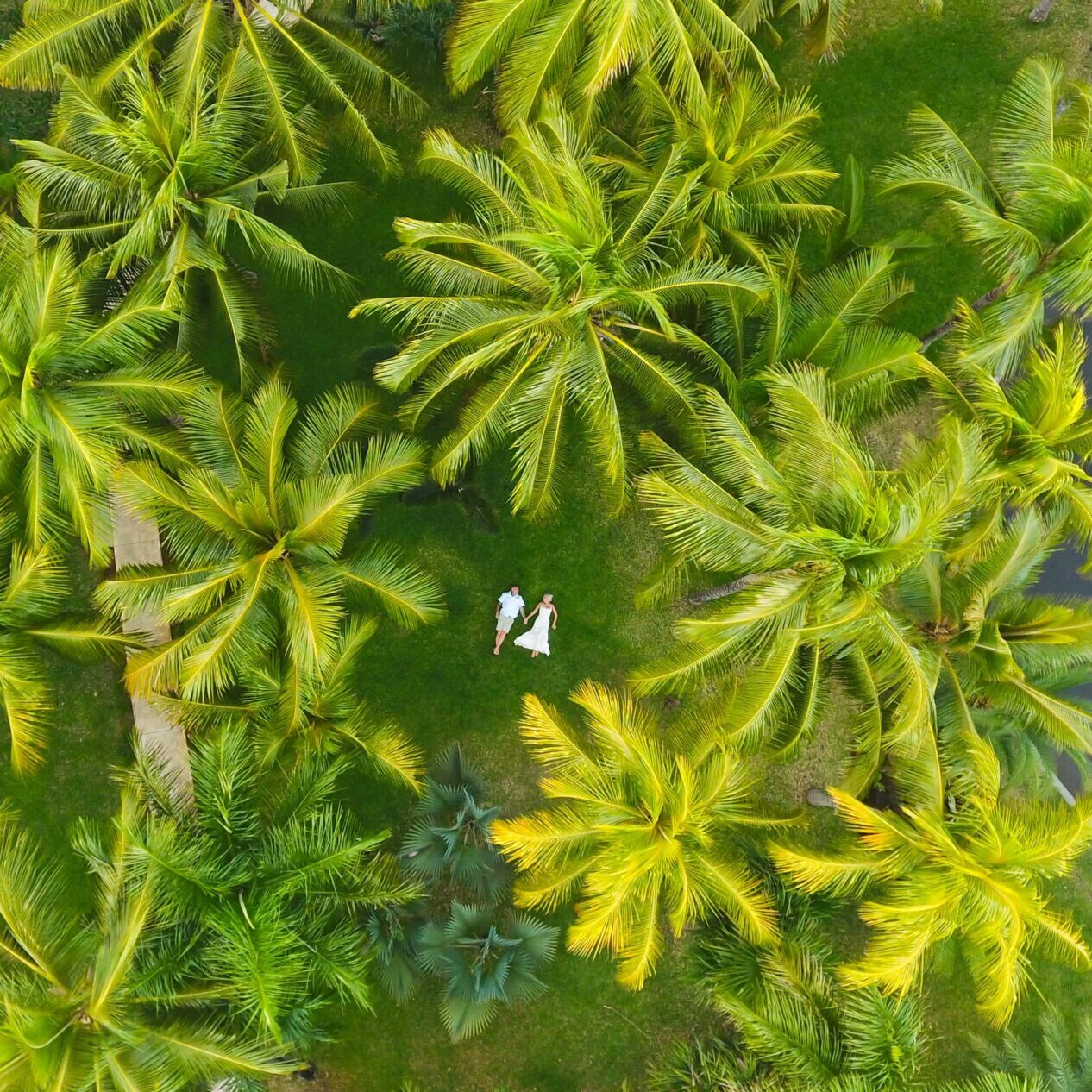 backlight-studios-ile-maurice-03