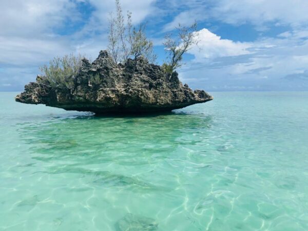 catamaran ouest benitiers dauphins partage 05 - L'île aux Bénitiers à l'île Maurice Crystal Rock, rocher corallien couvert de filaos au milieu d'un lagon vert d'eau