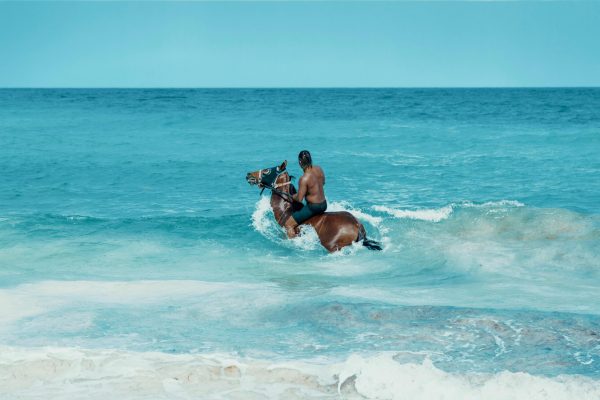 balade en cheval dans la mer